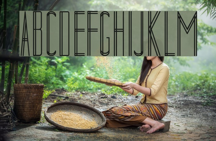 Collected DecorativeCondensed Bold Example 2