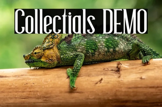 Collectials DEMO Example 1