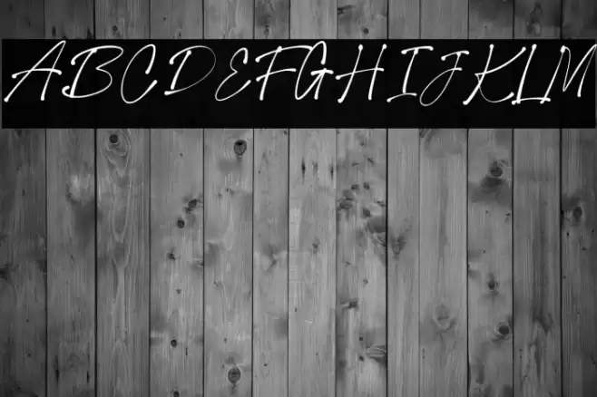 Collection New Style Regular Font examples