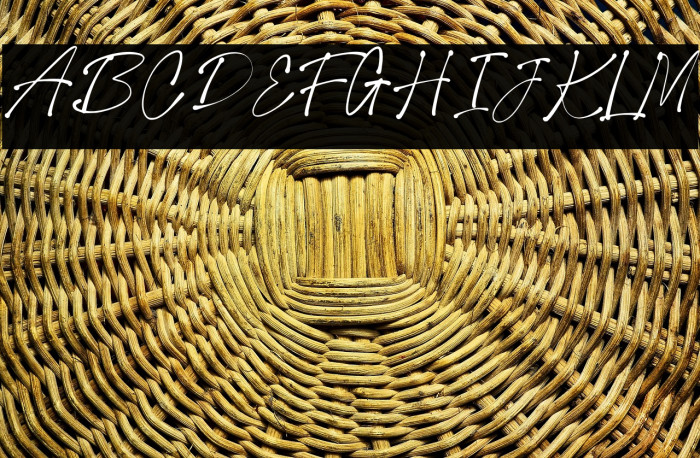 Collection New Style Regular Example 2