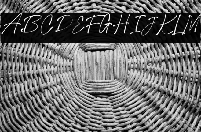 Collection New Style Regular Font examples