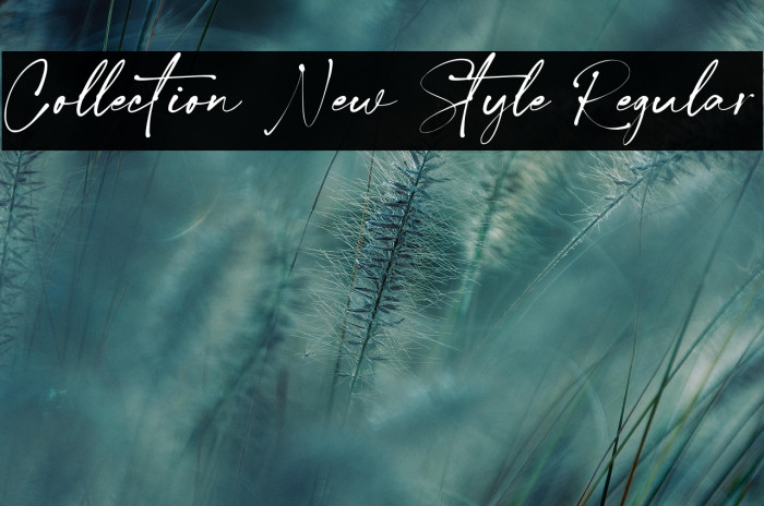 Collection New Style Regular Example 1
