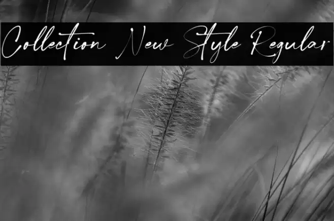 Collection New Style Regular Font examples