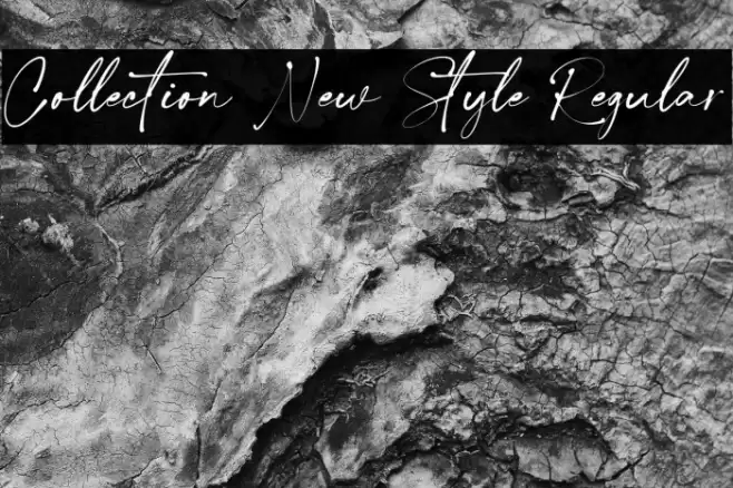 Collection New Style Regular Font examples