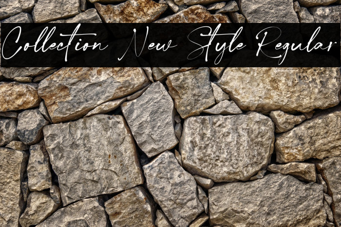 Collection New Style Regular Example 3