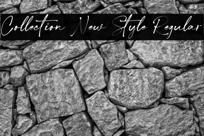 Collection New Style Regular Font examples