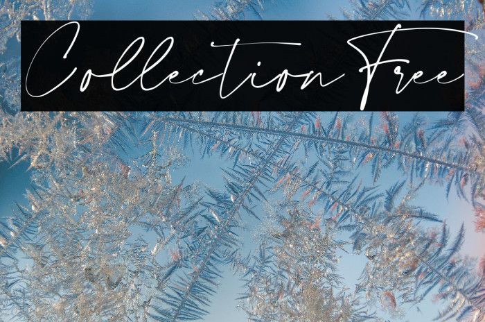 CollectionFree Example 2