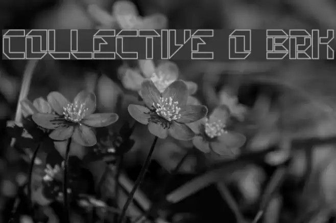 Collective O BRK خط examples