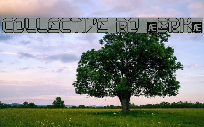 Collective RO [BRK] Example 3