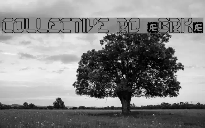 Collective RO [BRK] Font examples