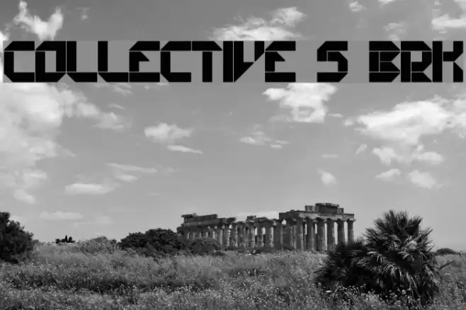 Collective S [BRK] Font examples