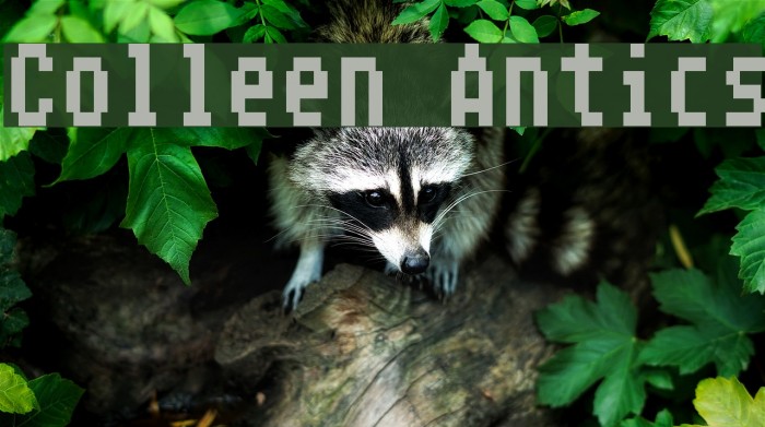 Colleen Antics Font examples