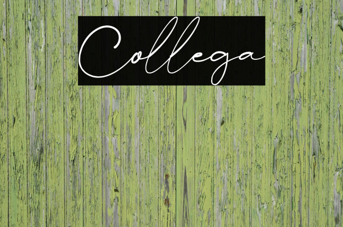 Collega Font examples