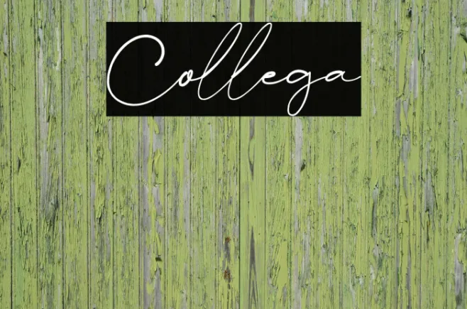 Collega Example 1