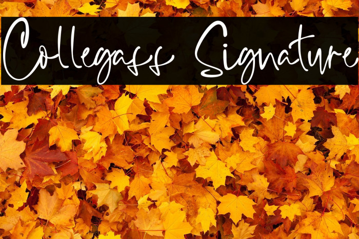 Collegass Signature Example 1