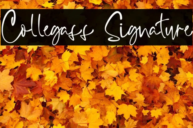Collegass Signature Example 1