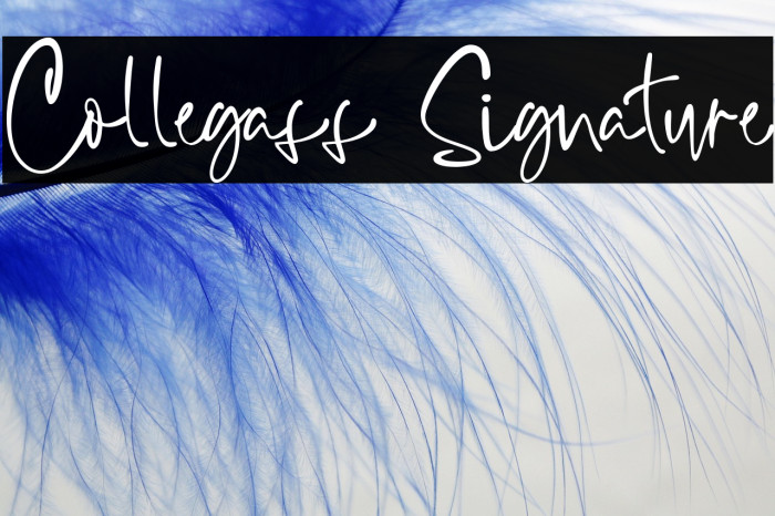 Collegass Signature Example 3