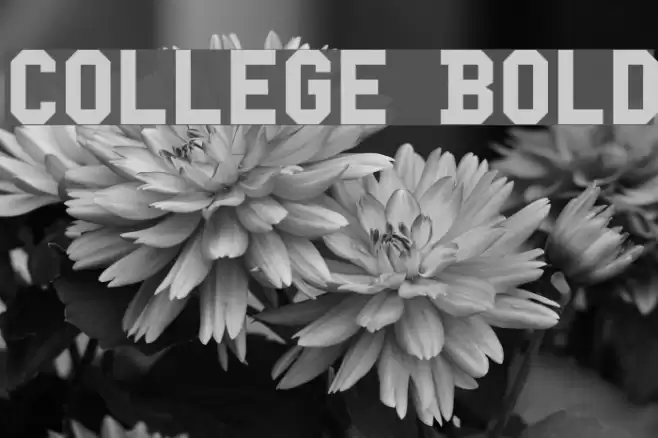College Bold Font examples