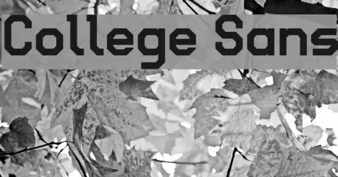 College Sans Font examples
