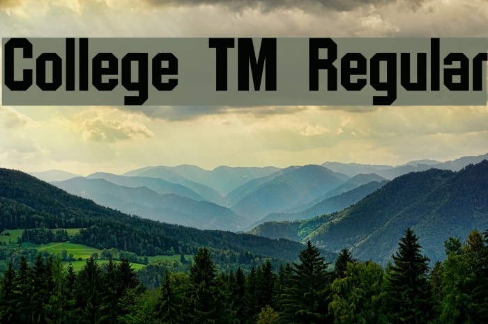 College TM Regular Font examples