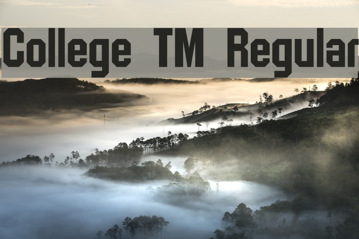 College TM Regular Font examples