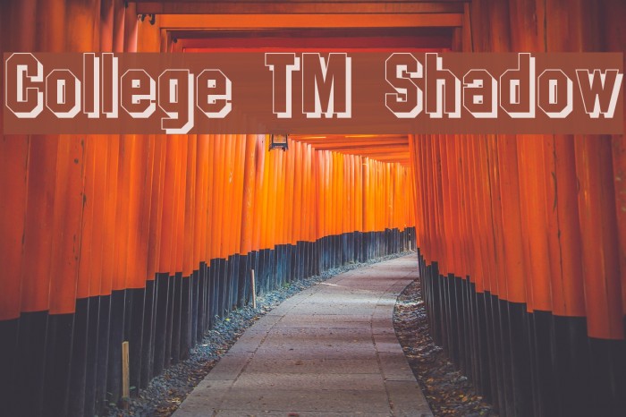 College TM Shadow Font examples