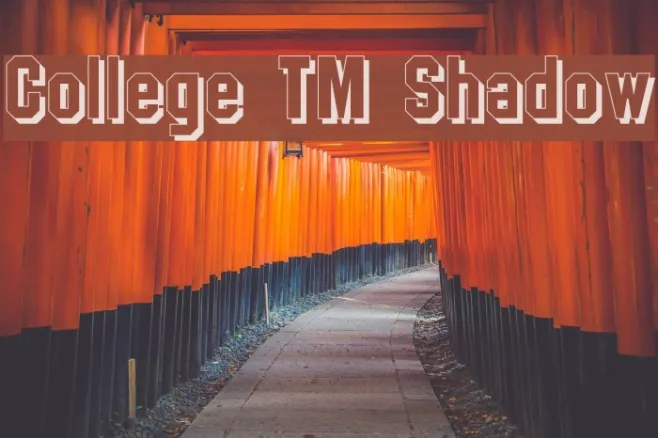 College TM Shadow Example 2