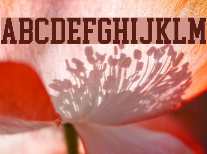 CollegeBlock2.0 Font examples