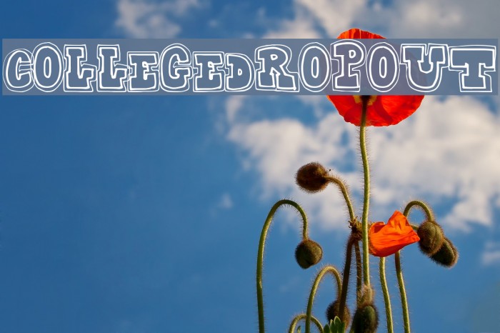 CollegeDropout Font examples