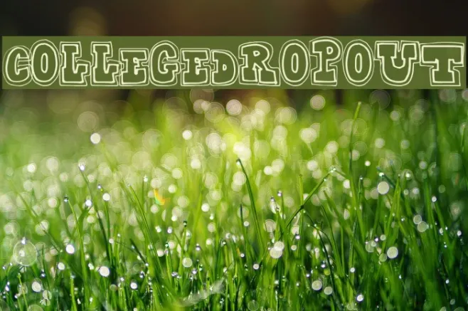 CollegeDropout Example 2