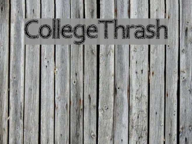 CollegeThrash Example 2