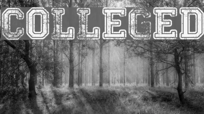 Colleged Font examples