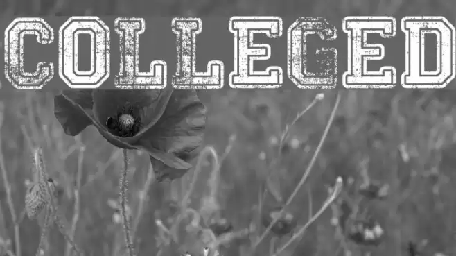 Colleged Font examples