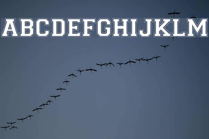 Collegiate-Normal Font examples