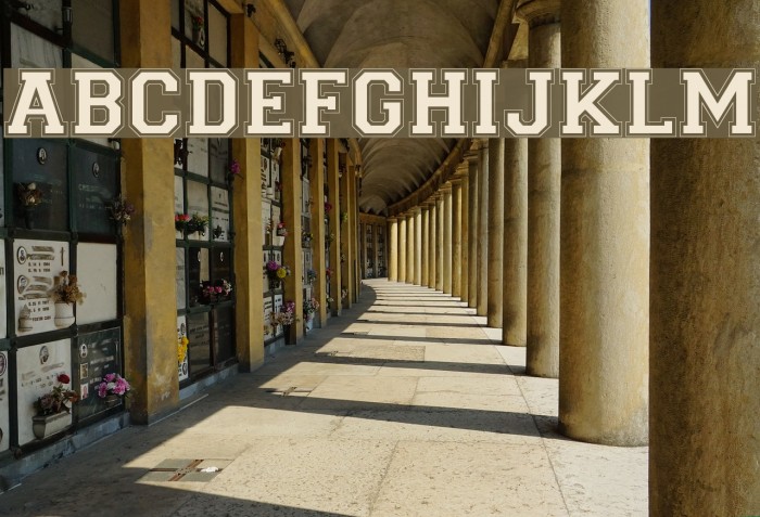 Collegiate-Normal Font examples