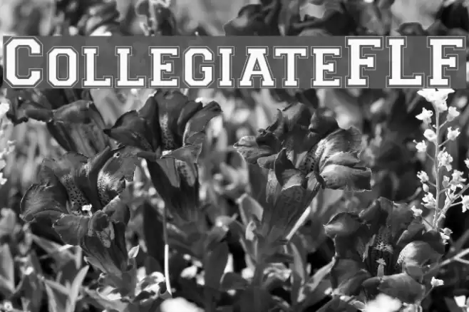 CollegiateFLF Font examples