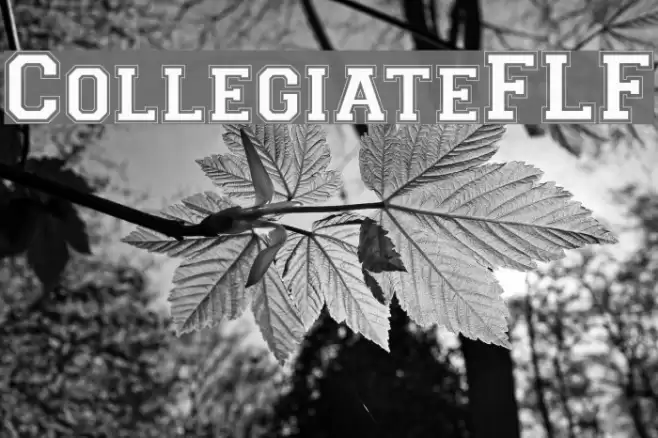 CollegiateFLF Font examples