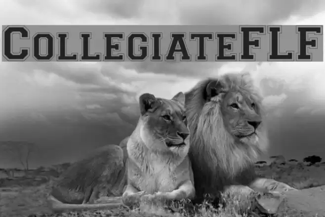 CollegiateFLF Font examples