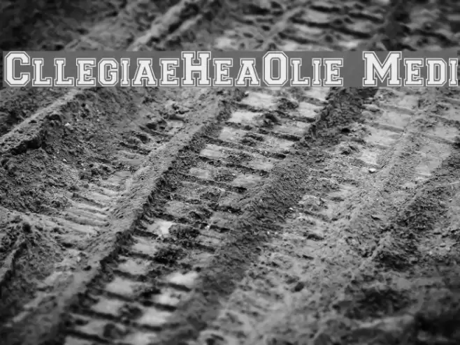 CollegiateHeavyOutline Medium Font examples