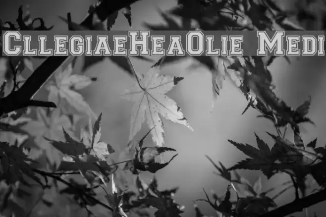 CollegiateHeavyOutline Medium Font examples