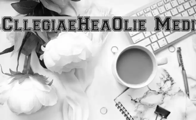 CollegiateHeavyOutline Medium Font examples