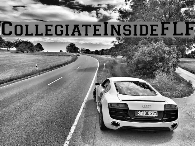 CollegiateInsideFLF Font examples