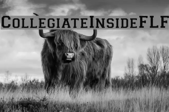 CollegiateInsideFLF Font examples