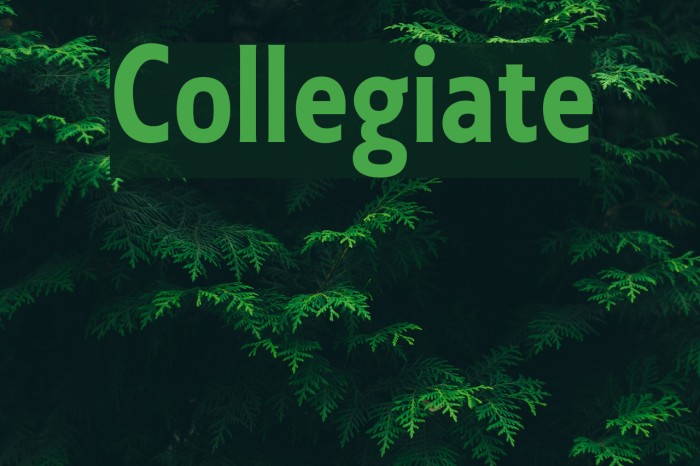 Collegiate Font examples