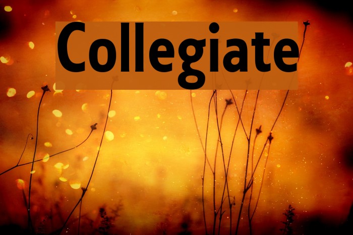 Collegiate Font examples