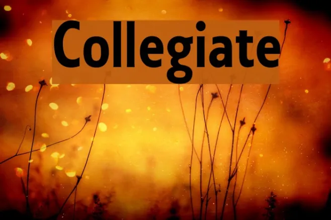 Collegiate Example 3