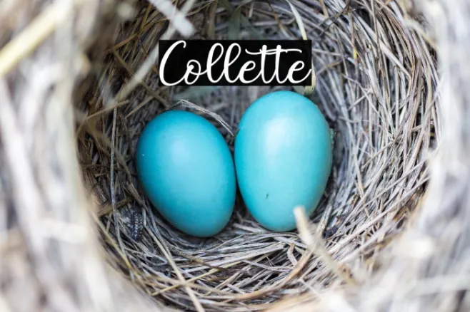 Collette Example 2