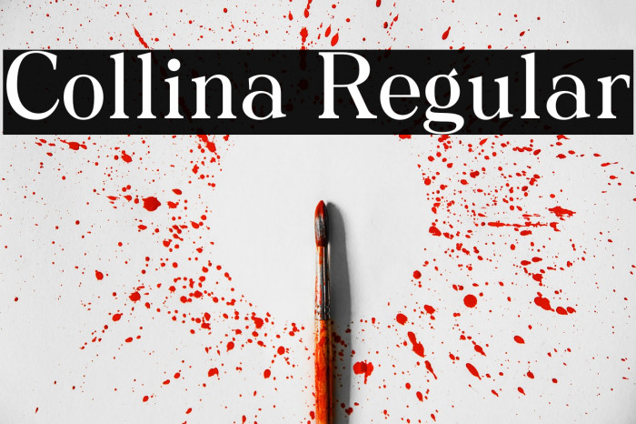 Collina Regular Example 1