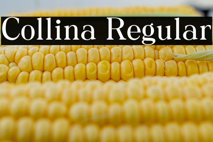 Collina Regular Example 3