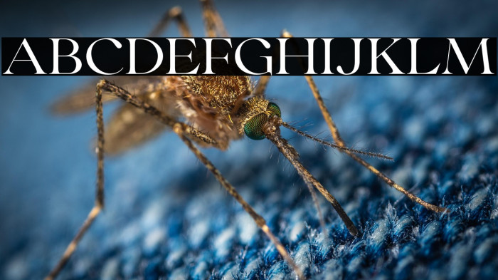 CollingarDEMO Example 3